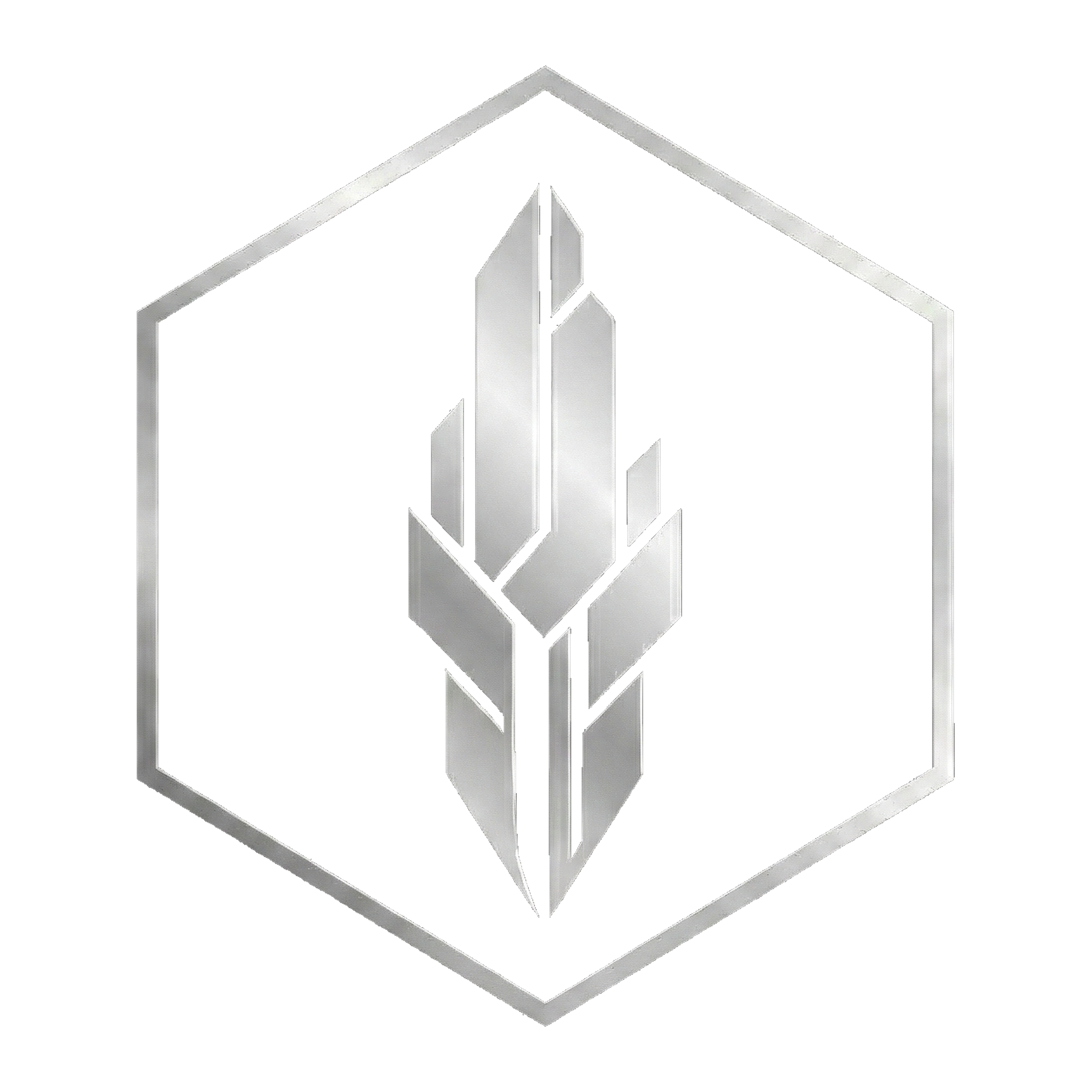 Toikara AI Consulting Logo